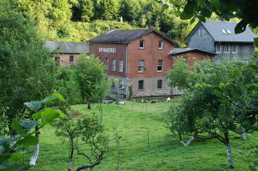Ferienwohnung Villa Weyermann Leichlingen Exterior photo